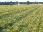 Kentucky Downs