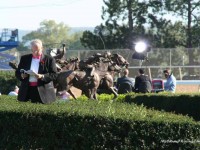 Oaklawn Park / Arkansas Derby 2008