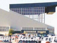 Assiniboia Downs