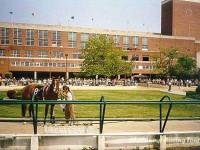 Atlantic City Racecourse