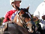 Kentucky Downs