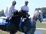 Kentucky Downs