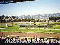 Golden Gate Fields