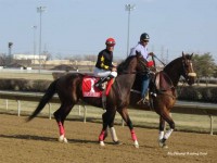 Illinois Derby 2008