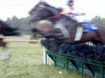 Kentucky Downs