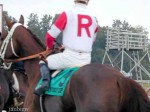 Kentucky Downs