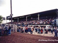 Bucking Horse Sale