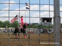 Bucking Horse Sale 2007