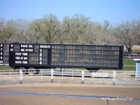 Bucking Horse Sale 2011