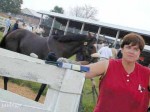 Kentucky Downs