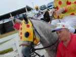 Kentucky Downs