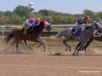 Arlington Million Day, Arlington Park 2006