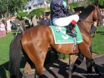 Arlington Million Day, Arlington Park 2006