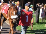 Arlington Million Day, Arlington Park 2006