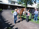 Arlington Million Day, Arlington Park 2006