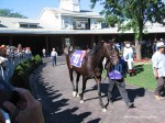 Arlington Million Day, Arlington Park 2006