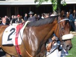 Arlington Million Day, Arlington Park 2006