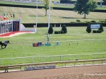 Arlington Million Day, Arlington Park 2006