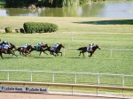 Arlington Million Day, Arlington Park 2006