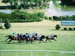 Arlington Million Day, Arlington Park 2006