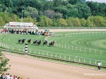 Arlington Million Day, Arlington Park 2006