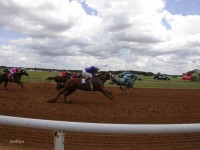 Gillespie County Fair 2003