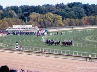 Arlington Park, Arlington Million Day, 2004