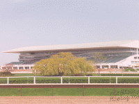 Arlington Park - Misc