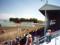 Cassia County Fair