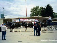 Great Falls 2004