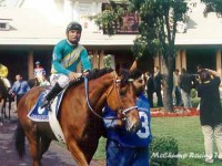 Arlington Park, Arlington Million 2002