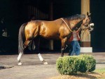 Arlington Park