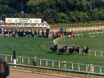 Arlington Park
