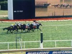 Arlington Park