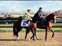 Illinois Derby 2004