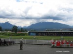 Hastings Park Racecourse racetrack