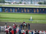 Hastings Park Racecourse racetrack
