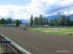 Hastings Park Racecourse racetrack