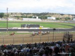 Yellowstone Downs
