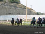 Yellowstone Downs