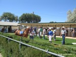 Elko County Fair