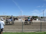 Elko County Fair