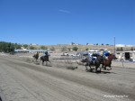 Elko County Fair