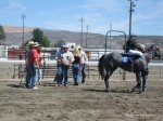 Elko County Fair