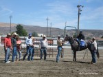 Elko County Fair