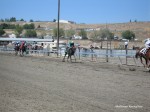 Elko County Fair