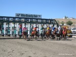 Elko County Fair