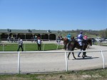 Will Rogers Downs