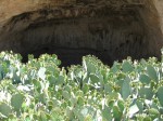Carlsbad Caverns