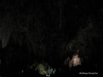 Carlsbad Caverns